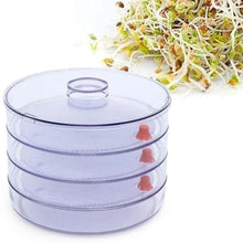 070 Plastic 4 Compartment Sprout Maker, White TRENDKART