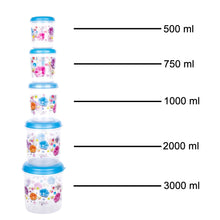 2446 Plastic Transparent Container Air Tight Dabba Set (3000ml, 2000ml, 1000ml, 750ml, 500ml) 